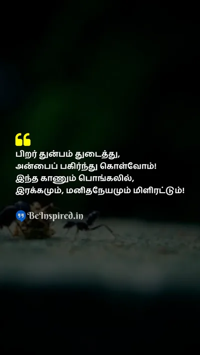 Pongal Wishes Quote related to 